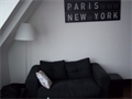 appartement à la location